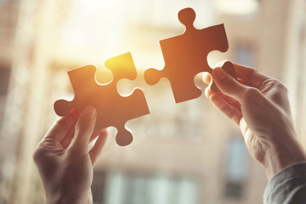 SEO puzzle